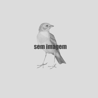 Aposta CMA