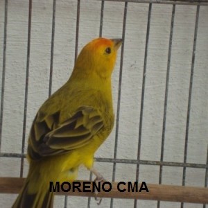 Criadouro Monte Alvão