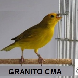 Criadouro Monte Alvão