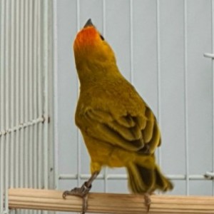 related3