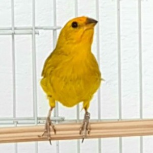 related3