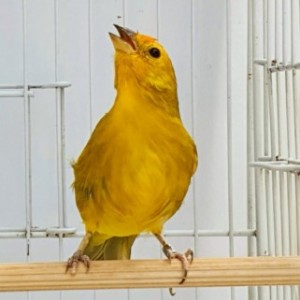 related3