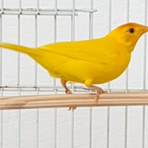 related3