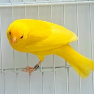 related3