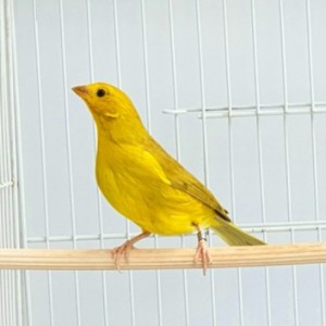 related3
