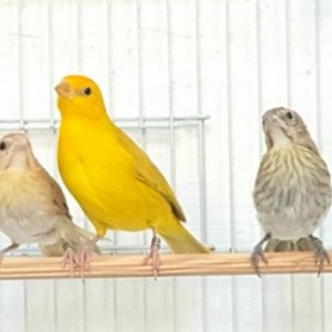 related3