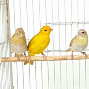related3