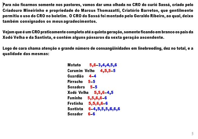 imagem11.jpg (61 KB)