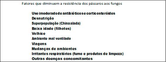 imagem7.jpg (36 KB)